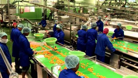 Canned fruit factory workers decry retrenchments