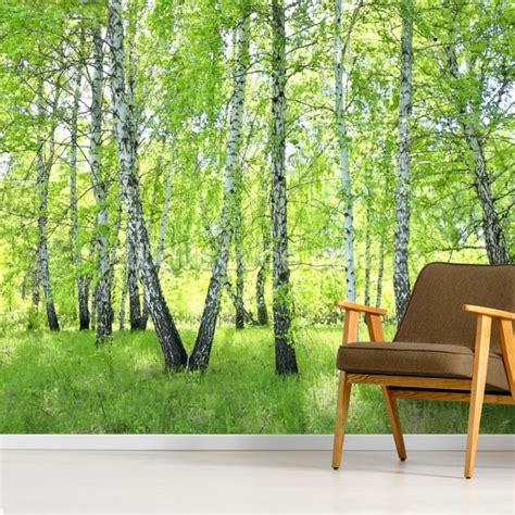 Birch Forest Wallpaper Mural Wallsauce Uk