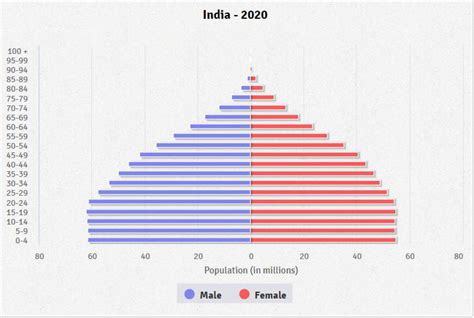 India Age Structure Diagram Age Sex Structure Of The Po