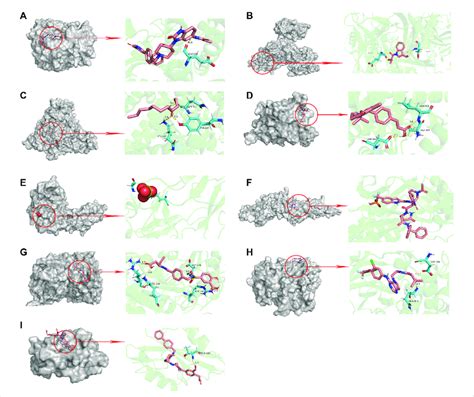 Molecular Docking Pattern Of Original Ligand And Core Target Protein