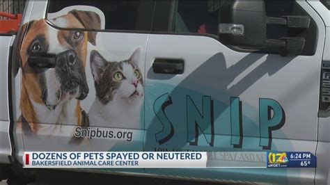 SNIP Mobile Spay And Neuter Bus Makes Stop In Southeast Bakersfield