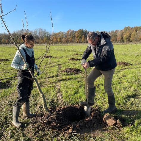 Productie Voedselbos Voedselbos Lingehout