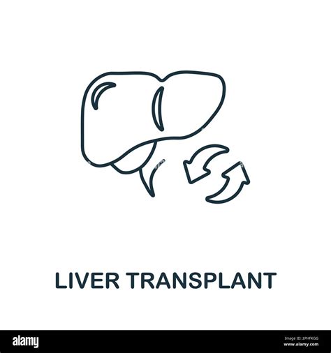 Liver Transplant Line Icon Element Sign From Transplantation