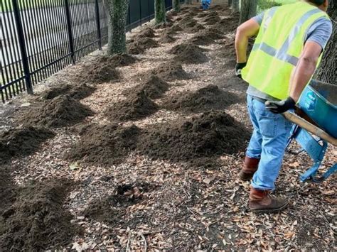 Mulch Delivery And Installation Mulching Houston