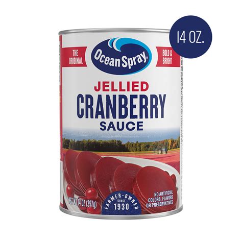 Ocean Spray® Canned Jellied Cranberry Sauce 14 Oz Can Festive Side Dish