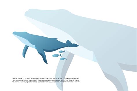 Modern Whale Illustration 11513220 Vector Art at Vecteezy