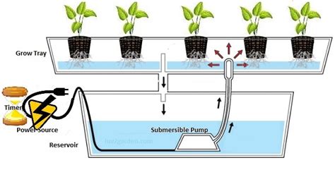 How To Build A Hydroponic Flood And Drain Aka Ebb And Flow System