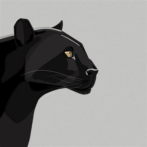 Black Panther Drawing Panther Art Leopard Drawing