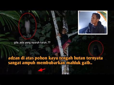 Camping Horror Adzan Di Atas Pohon Hutan Angker Ternyata Sangat Ampuh