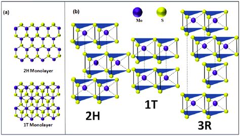 A Top View Of 2h 1t Mos2 Monolayer B Polymorphic Structures Of