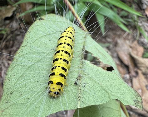 Biodiversität und genetische Vielfalt sind für uns Menschen