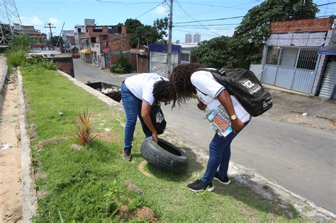 Dengue Bahia Est Entre As Cinco Unidades Da Federa O Tend Ncia