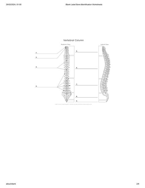 Solution Biol 2401 Blank Label Bone Identification Worksheets Studypool