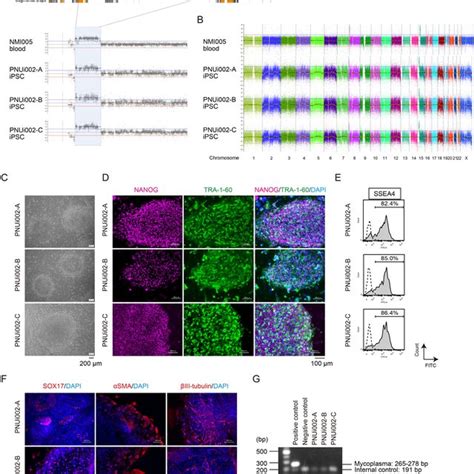 Characterization Of The Ipsc Lines Download Scientific Diagram