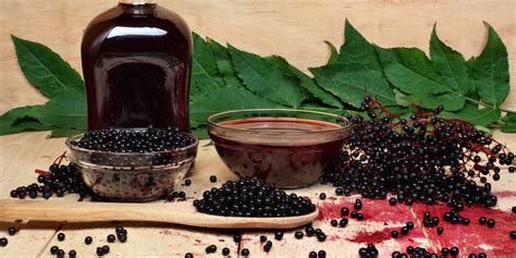 Benefits Of Elderberry Tea Side Effects Kent Tea Coffee Co