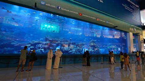 Scuba Diving in the Dubai Aquarium at the Dubai Mall - UponArriving