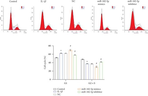 Mir 182 5p Inhibited Chondrocyte Proliferation And Promoted Apoptosis