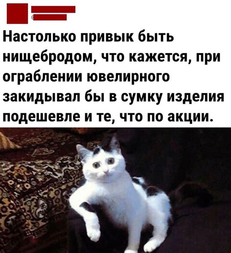 Привычка | Пикабу