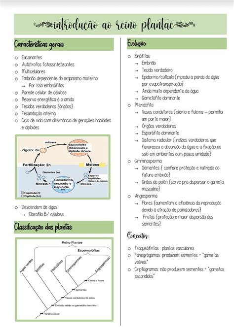 Introdu O Ao Reino Plantae Livro De Biologia Disciplina Escolar