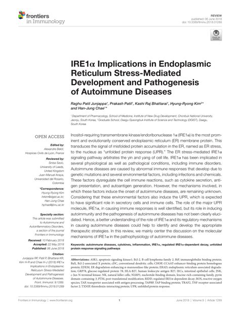 PDF IRE1α Implications in Endoplasmic Reticulum Stress Mediated