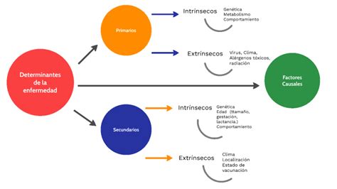 Determinantes De La Enfermedad By Mariangel Miranda Casasola On Prezi