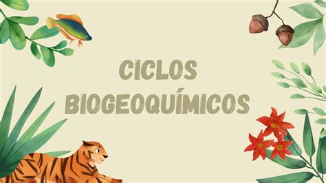 Solution Ciclos Biogeoqu Micos Studypool