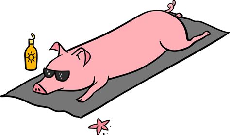 Pig Laying At The Beach Hand Drawn Color Vector Illustration 38826579