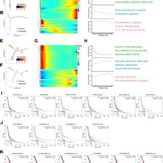 Gene Expression Profiles During Metastasis Of HGSOC A The