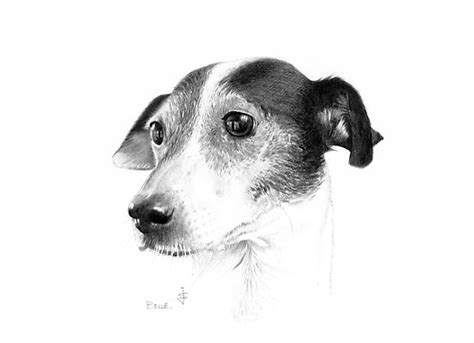 Rare Collection of free wallpapers: Pencil drawing painting art Sketches of Cute Animal and cute ...