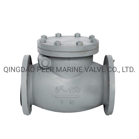 JIS Marine Cast Iron Swing Check Valve China Sea Strainer And JIS