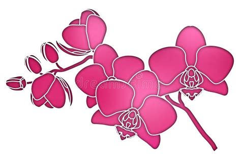 Orchids Silhouette Stock Illustrations 979 Orchids Silhouette Stock