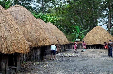 Keunikan Rumah Adat Honai Papua Barat