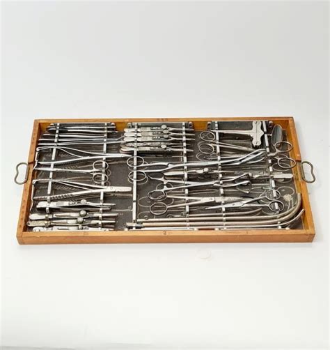 Tray Of Stainless Steel Instruments Curious Science