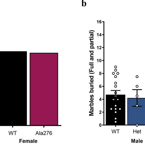 Sex Dependent Effects Of Sert Ala Genotype In Tube Test And Marble