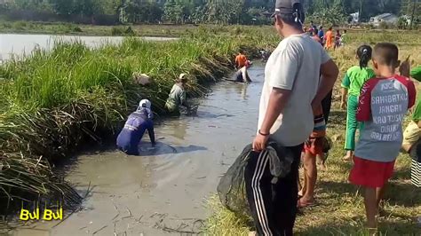 Kegiatan Musiman Yang Dilakukan Pada Musim Kemarau YouTube