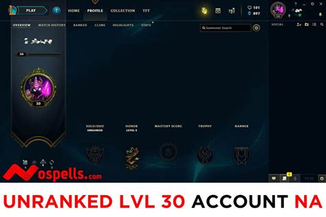 League Of Legends Level Accounts For Sale Paul Smith