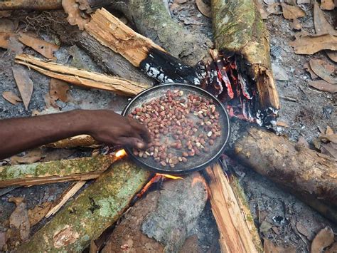 Baaka Pygmies, forest inhabitants of Central Africa - 4/4