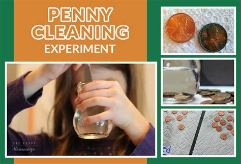 Cleaning Penny Science Project