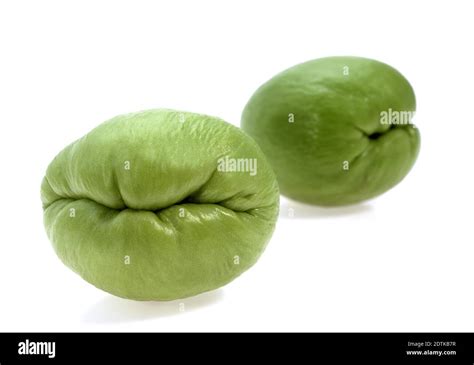 Chayote Sechium Edule A Mexican Fruit Stock Photo Alamy