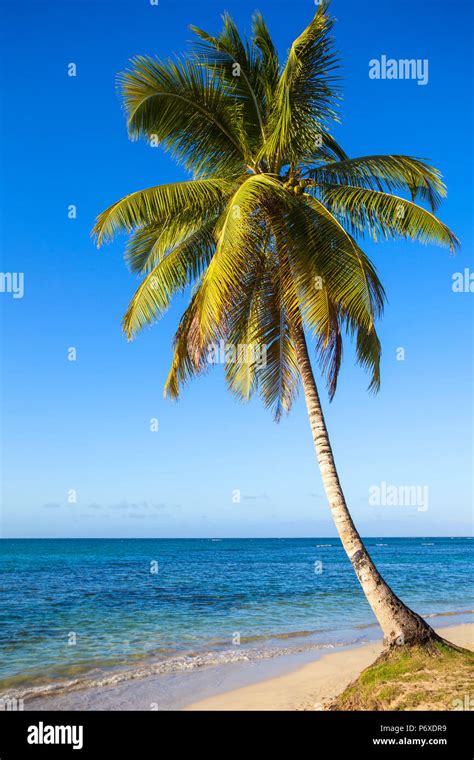 Dominican Republic Samana Peninsula Beach At Las Terrenas Stock Photo