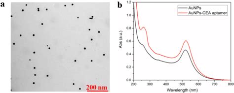 A Tem Image Of Aunps B Uvvis Absorption Spectrum Of Aunps Black