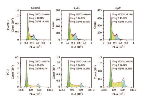 Salinomycin Inhibits PC 3 Cell Proliferation And Induces Cell Cycle