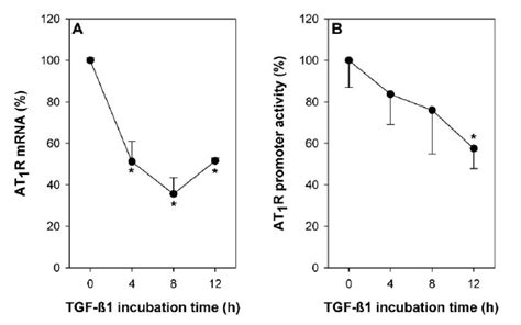 Time Course Of Tgf ß1 Effect On At 1 Mrna And At 1 Promoter Activity A