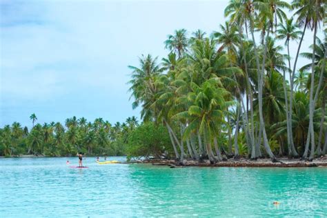 QUÉ VER EN TAHA A Polinesia Francesa Una idea un viaje