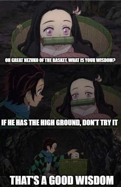 It's over, Nezuko! I made the basket! : r/memes