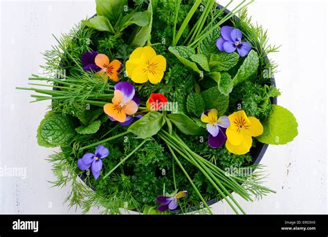 Cooking With Herbs Concept With Fresh Herbs And Edible Flowers In Stock