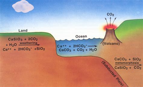 Cycle Carbonates Silicates