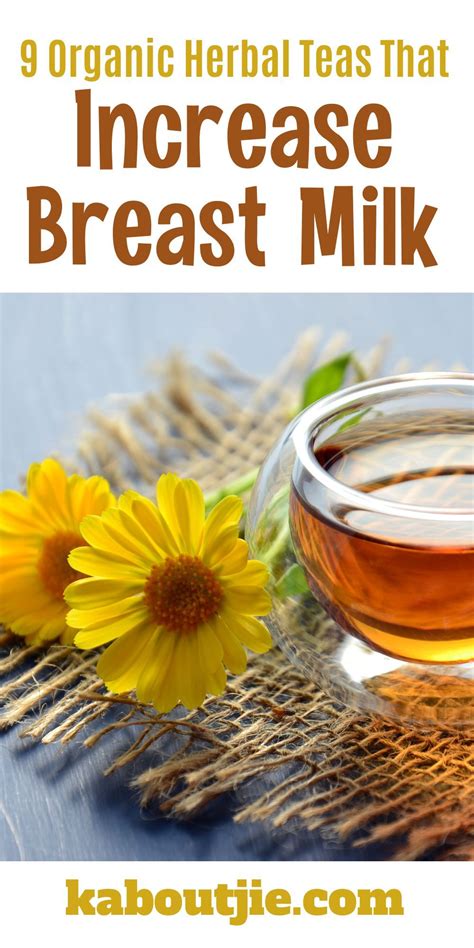 9 organic herbal teas that increase breast milk – Artofit