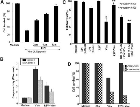 The Inhibitory Effect Of Resveratrol Rsv On Vincristine Induced