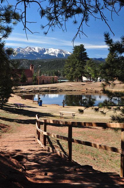 Spring Fever Woodland Park Colorado Colorado Native Colorado Mountains